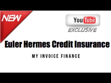 hermes bag insurance|my euler hermes log in.